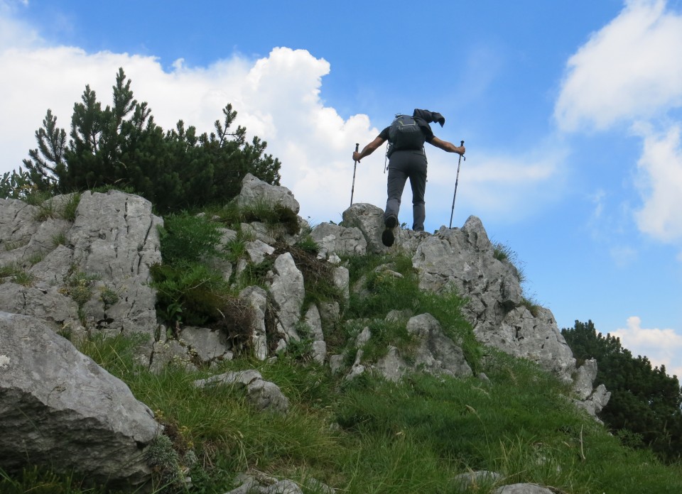 Orožnova koča in Lisec,  06.07.2017 - foto povečava