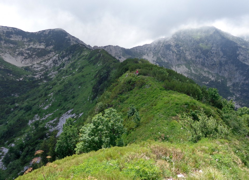 Orožnova koča in Lisec,  06.07.2017 - foto povečava