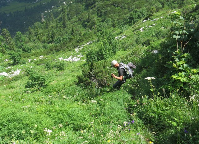 Orožnova koča in Lisec,  06.07.2017 - foto