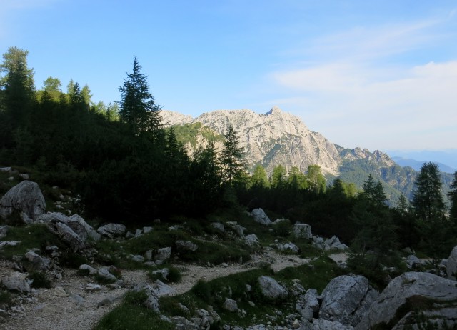 Slem. špica in čez Hanzovo nazaj  07.07.2017 - foto