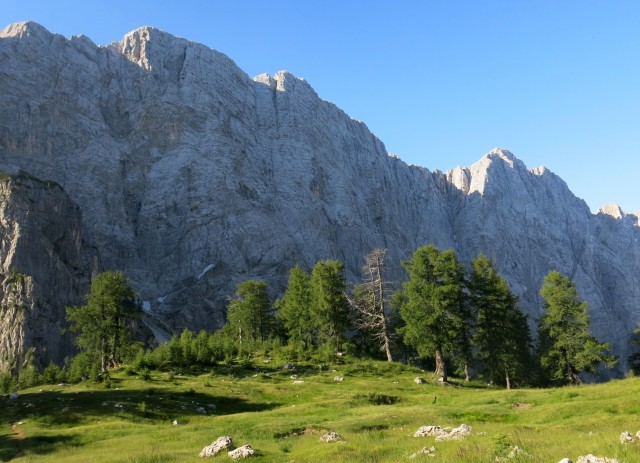 Slem. špica in čez Hanzovo nazaj  07.07.2017 - foto