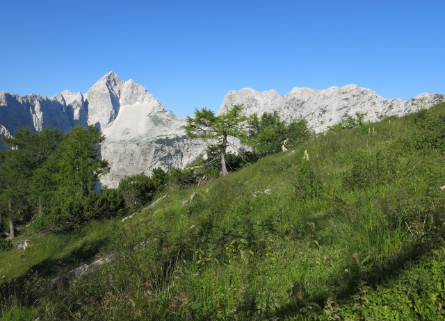 Slem. špica in čez Hanzovo nazaj  07.07.2017 - foto