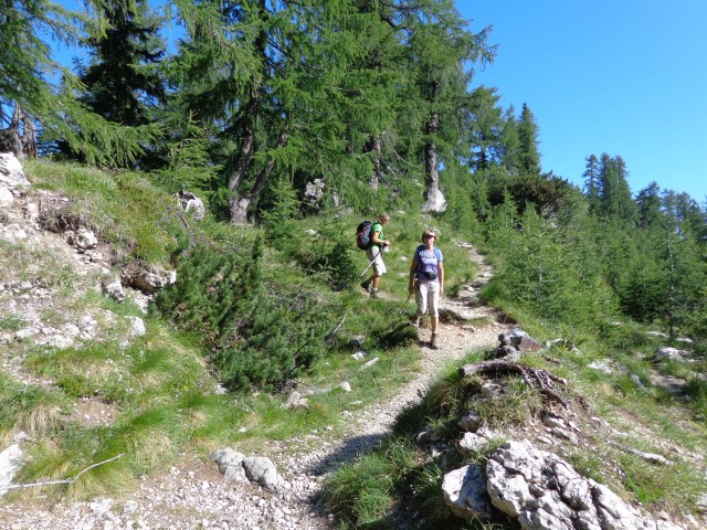 Slem. špica in čez Hanzovo nazaj  07.07.2017 - foto