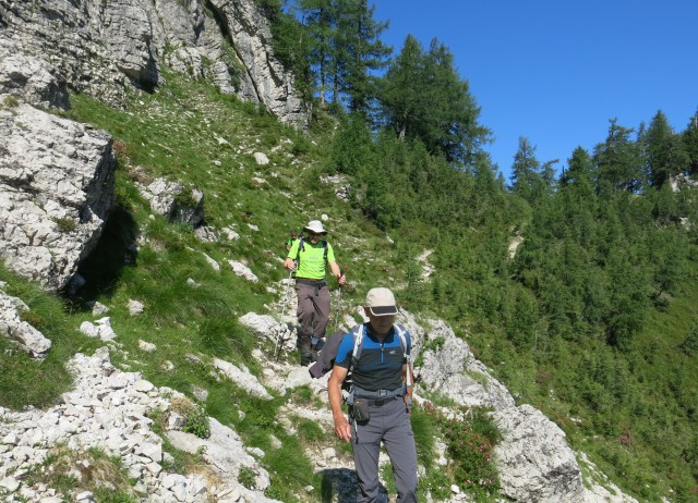 Slem. špica in čez Hanzovo nazaj  07.07.2017 - foto