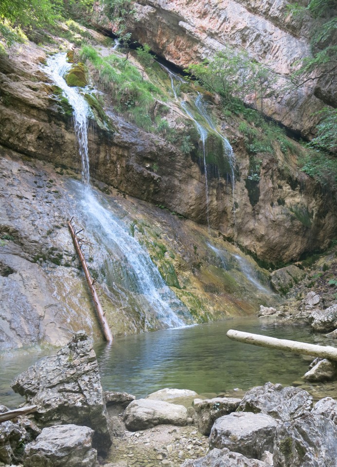 PEKEL,  11.07.2017 - foto povečava