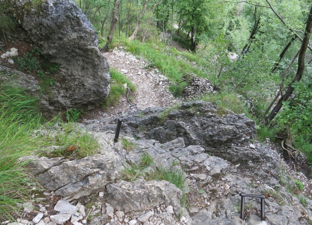 PEKEL,  11.07.2017 - foto