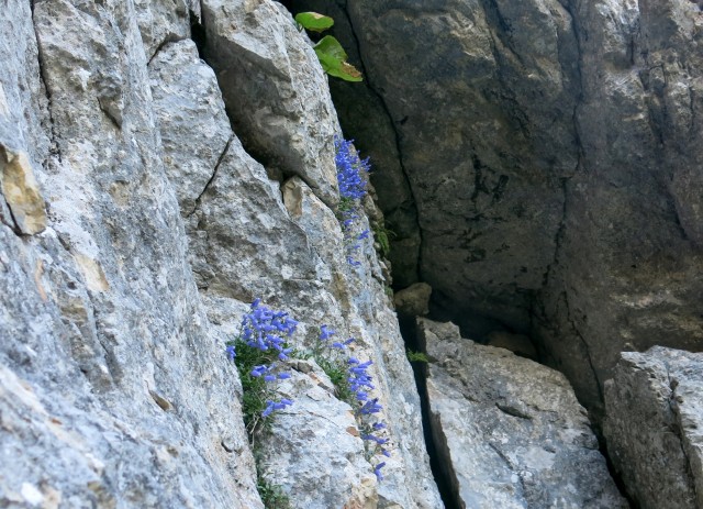 Bivak pod kočno - 20.07. 2017 - foto