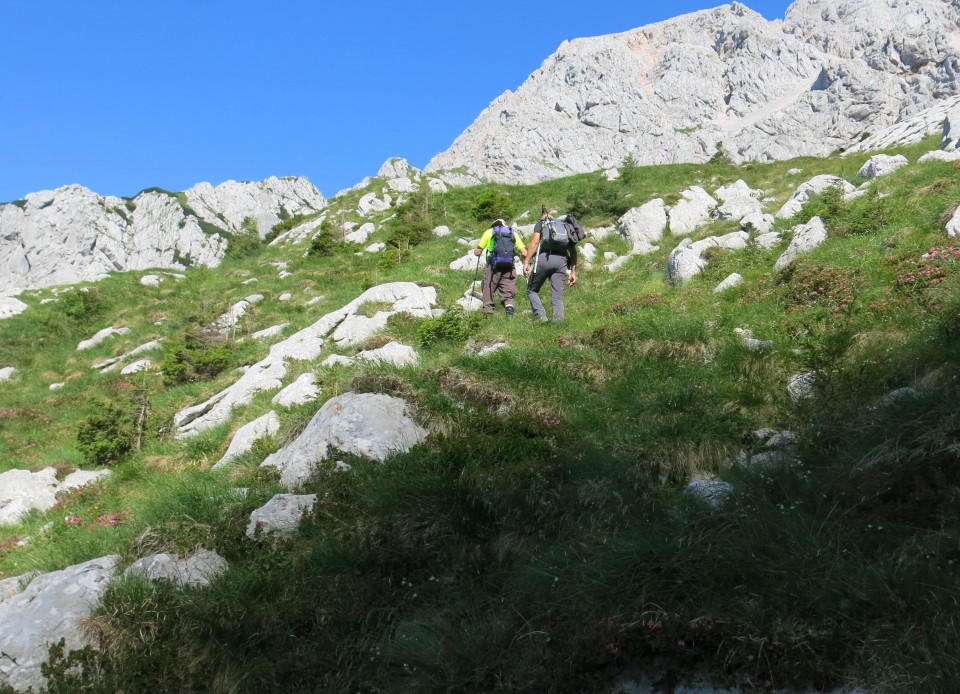 Bivak pod kočno - 20.07. 2017 - foto povečava