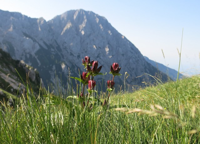 Bivak pod kočno - 20.07. 2017 - foto