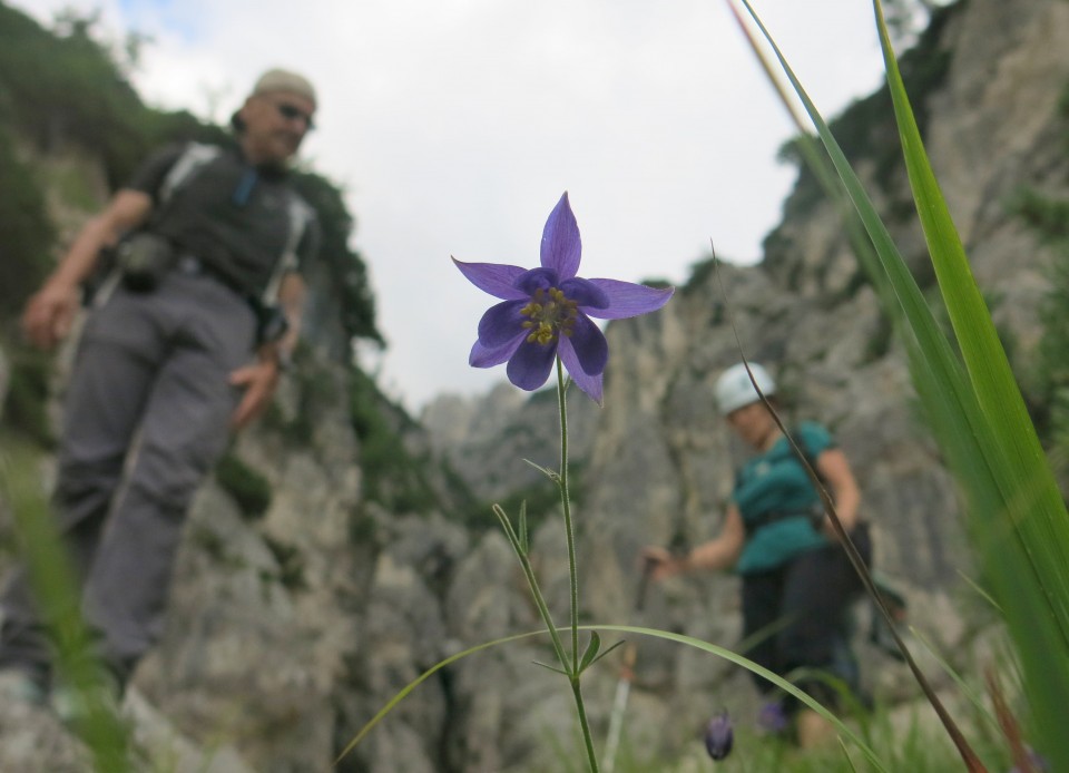 Pot Saškega kralja,  28.07.2017 - foto povečava