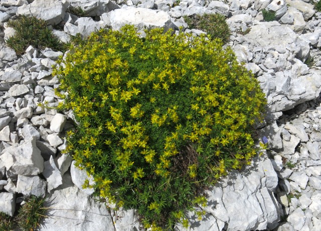 Gubno in Planja, 15. + 16. 8. 2017 - foto