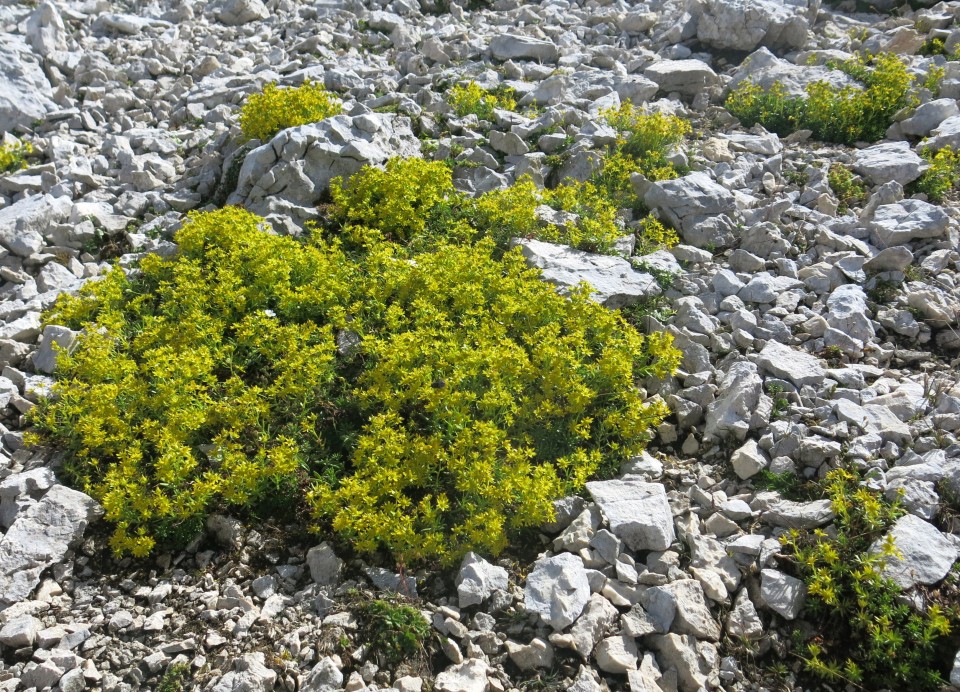 Gubno in Planja, 15. + 16. 8. 2017 - foto povečava