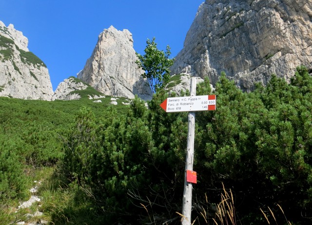 Okrog VBŠ in Pan di Zukera, 31.8.2017 - foto