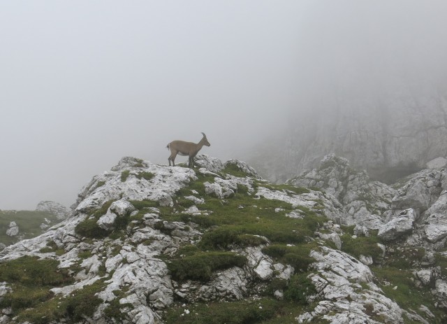 Okrog VBŠ in Pan di Zukera, 31.8.2017 - foto