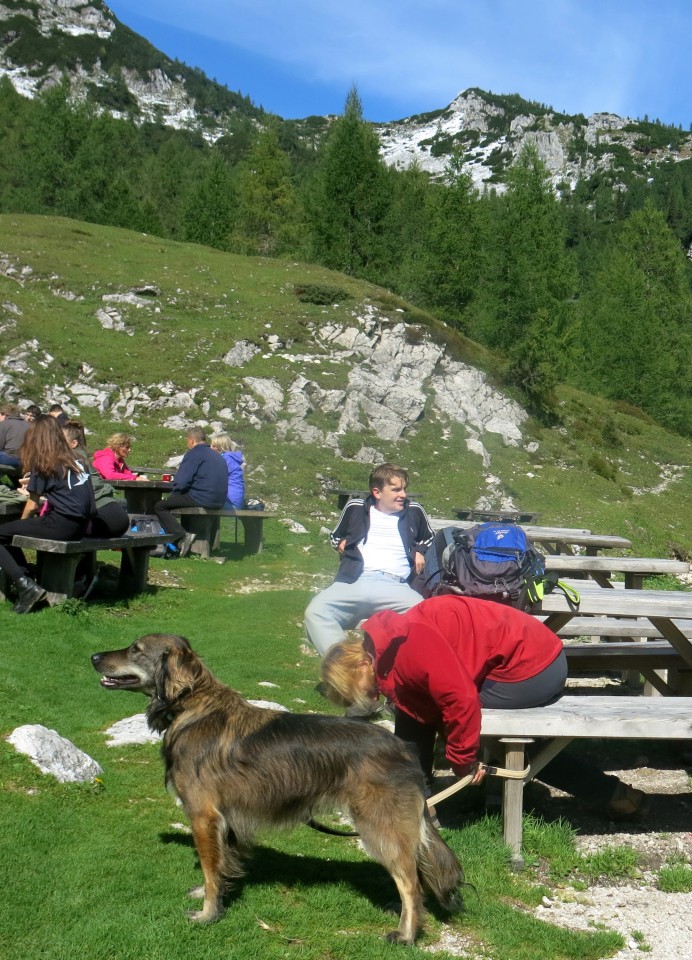 Blejska + mi štirje + Silva, 13.9.2017 - foto povečava