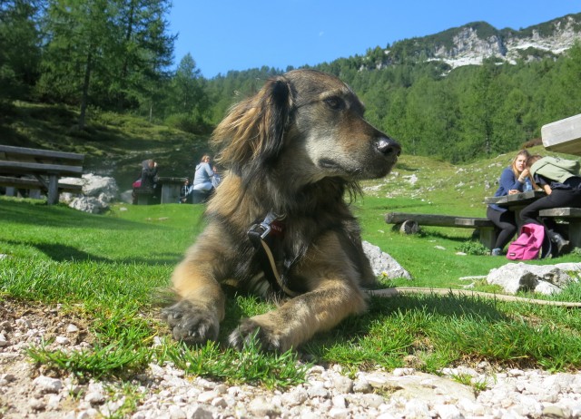 Blejska + mi štirje + Silva, 13.9.2017 - foto