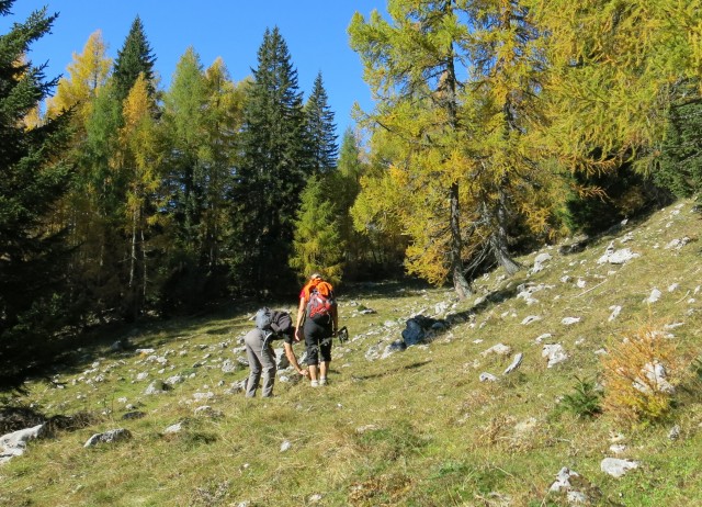 Brda 12.10.2017 - foto