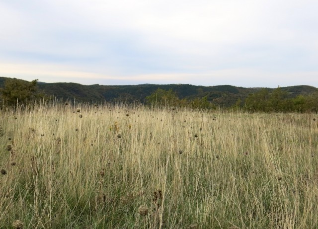 Spodmoli, 22.10.2017 - foto