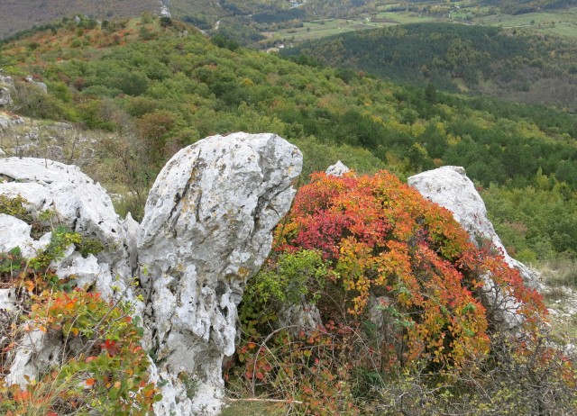 Spodmoli, 22.10.2017 - foto