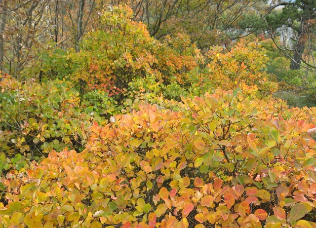 Spodmoli, 22.10.2017 - foto