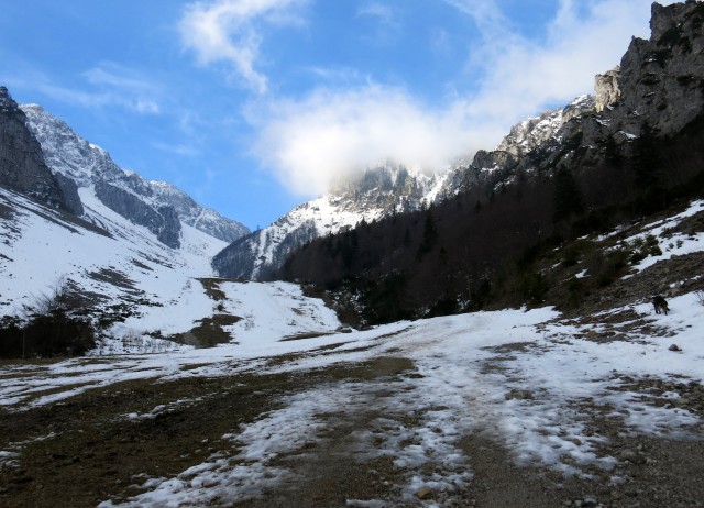 Zelenica s Silvo,  22.11.2017 - foto