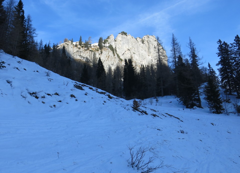 Zelenica s Silvo,  22.11.2017 - foto povečava