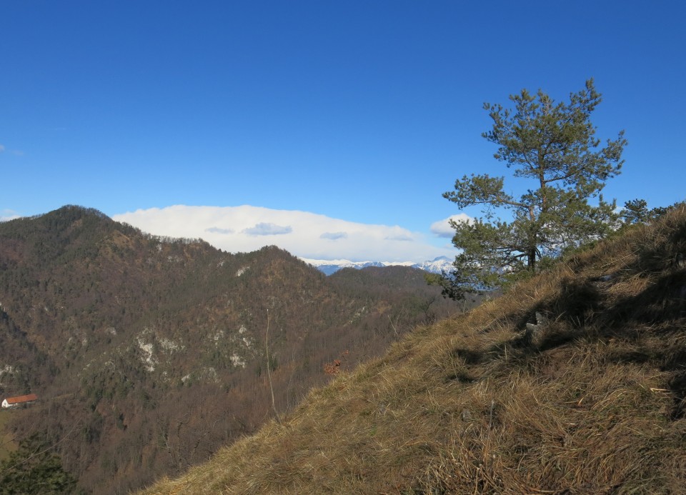 Grmada s Šamo, 21.01.2018 - foto povečava