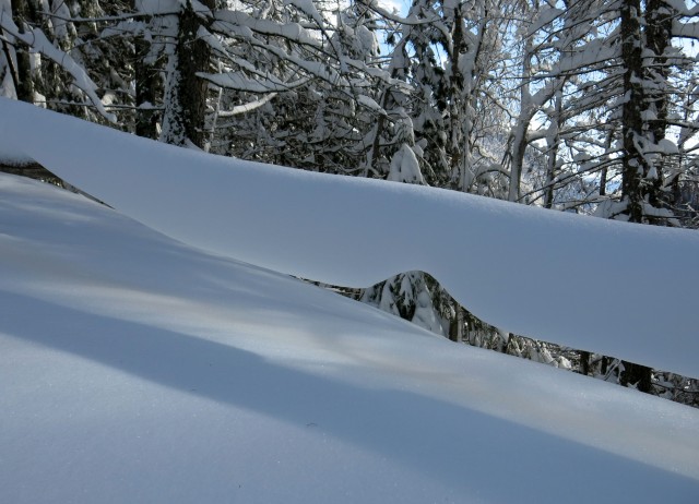 Star Ljubelj 04.02.2018 - foto