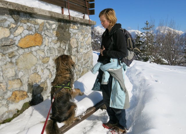 Jošt 14.02.2018 - foto