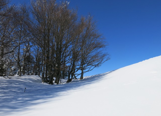 Kriška   4.03. 2018 - foto