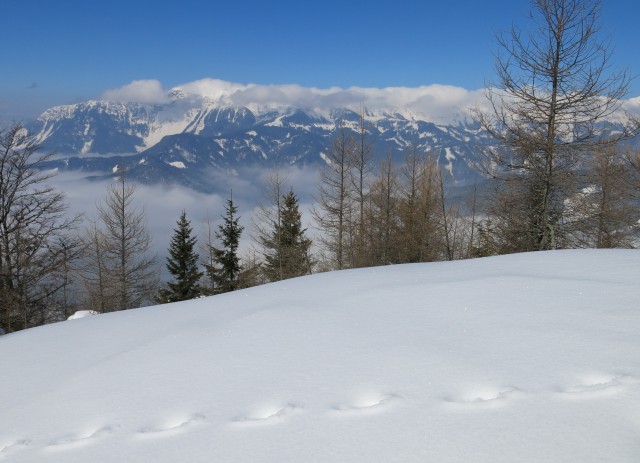 Kriška   4.03. 2018 - foto