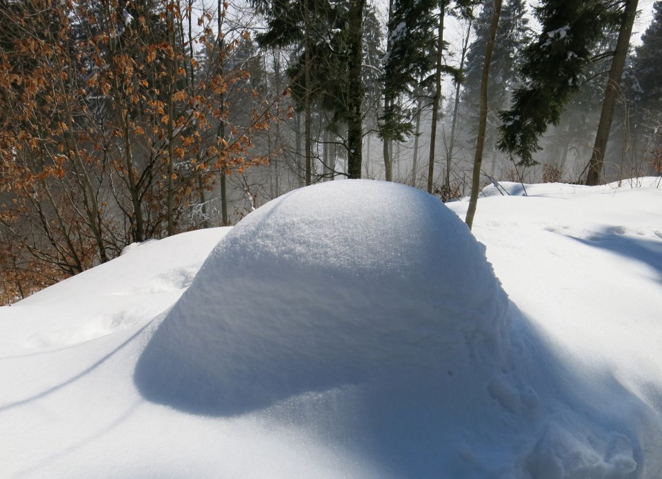 Kriška   4.03. 2018 - foto povečava