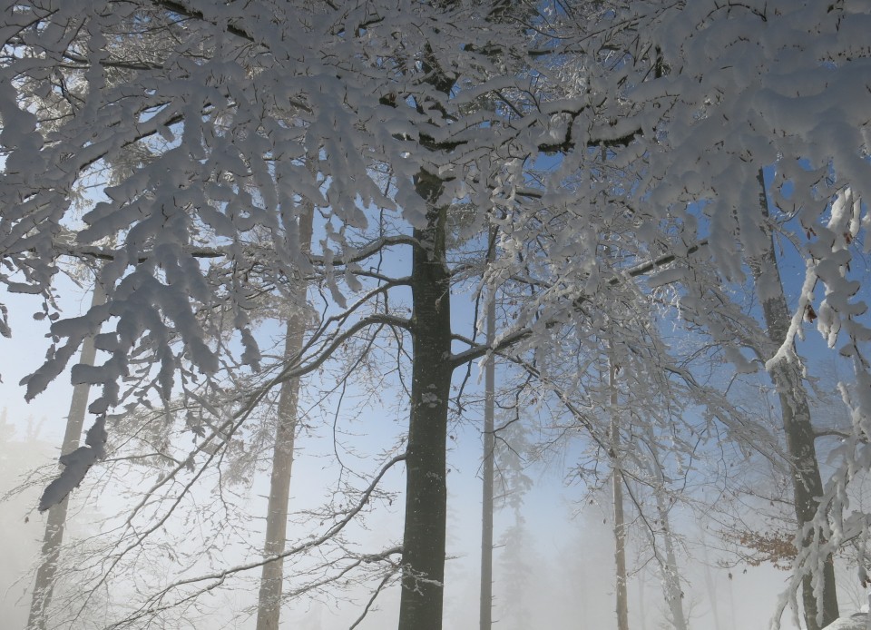 Kriška   4.03. 2018 - foto povečava