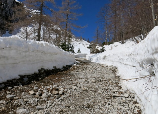 SUHO RUŠJE   14.04.2018 - foto