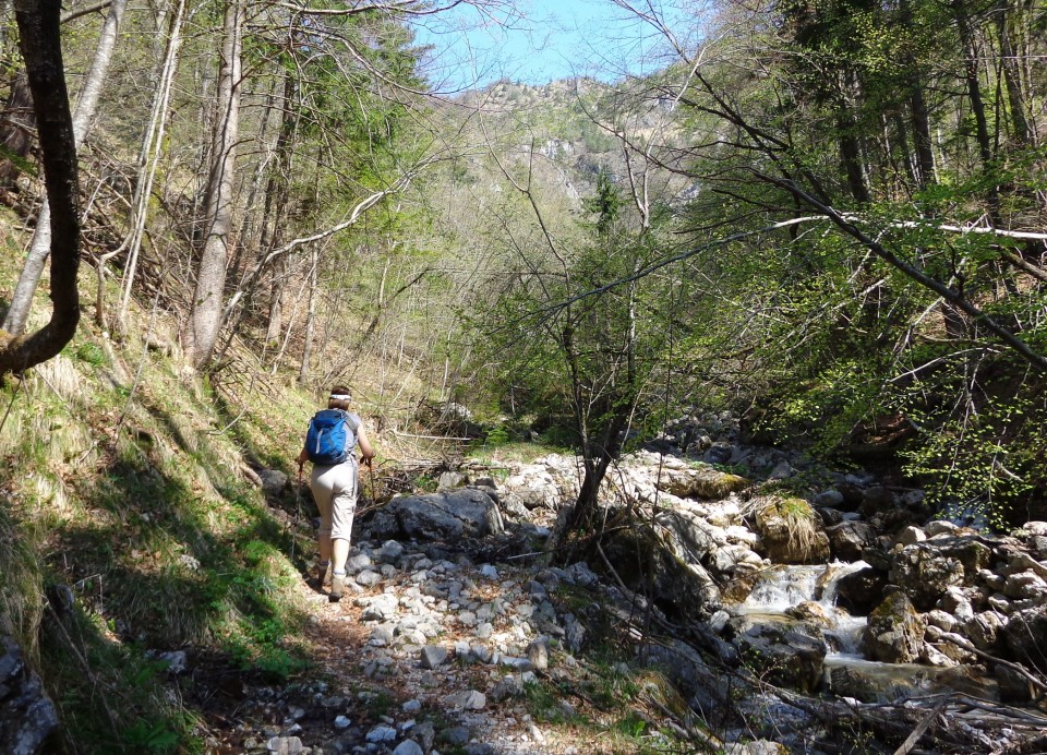 Korošaški slapovi + pl. osredek   20.04.2018 - foto povečava