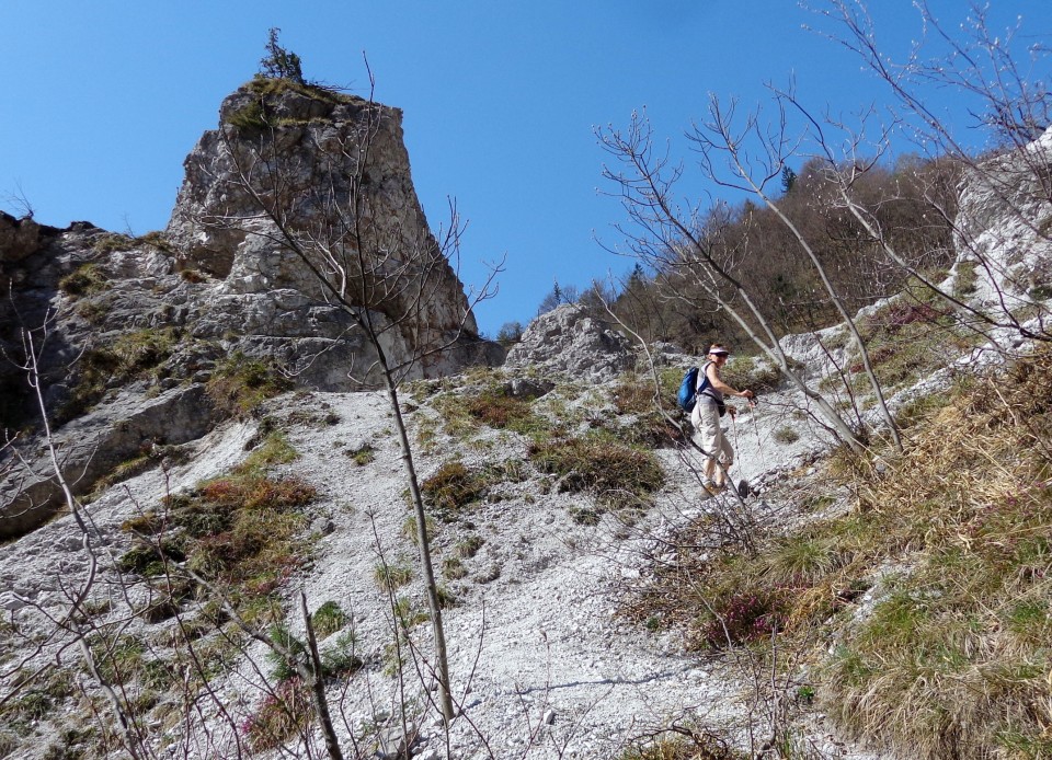 Korošaški slapovi + pl. osredek   20.04.2018 - foto povečava