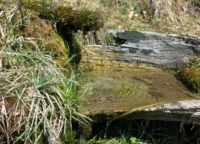 Korošaški slapovi + pl. osredek   20.04.2018 - foto