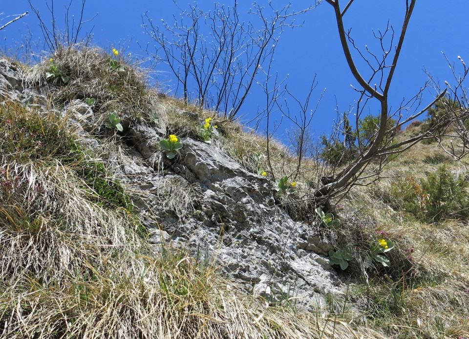 Korošaški slapovi + pl. osredek   20.04.2018 - foto povečava