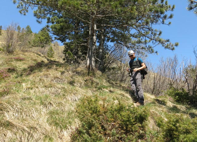 Korošaški slapovi + pl. osredek   20.04.2018 - foto