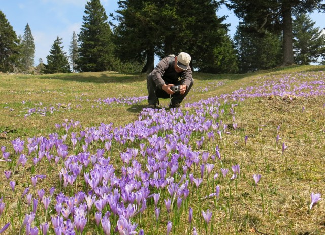 VELIKA PLANINA   24.04.2018 - foto