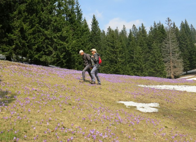 VELIKA PLANINA   24.04.2018 - foto