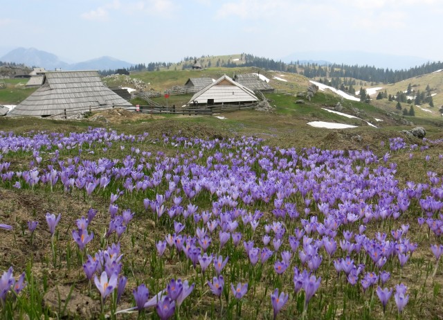 VELIKA PLANINA   24.04.2018 - foto