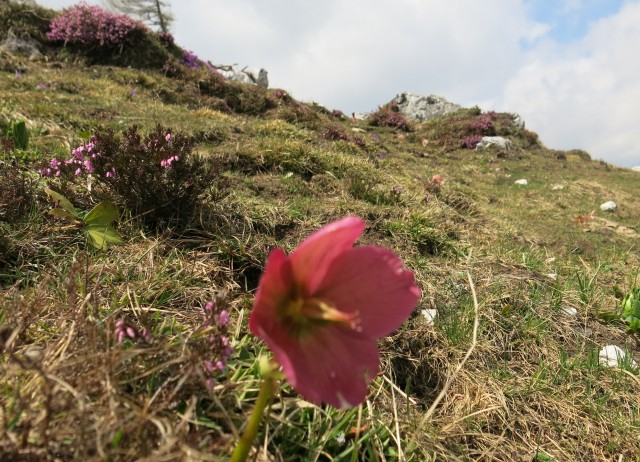 VELIKA PLANINA   24.04.2018 - foto