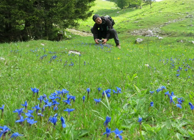 Struška + narcise  19.05.2018 - foto