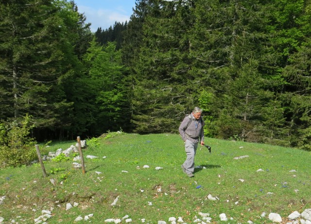 Struška + narcise  19.05.2018 - foto