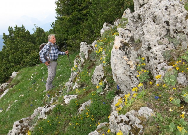 Struška + narcise  19.05.2018 - foto