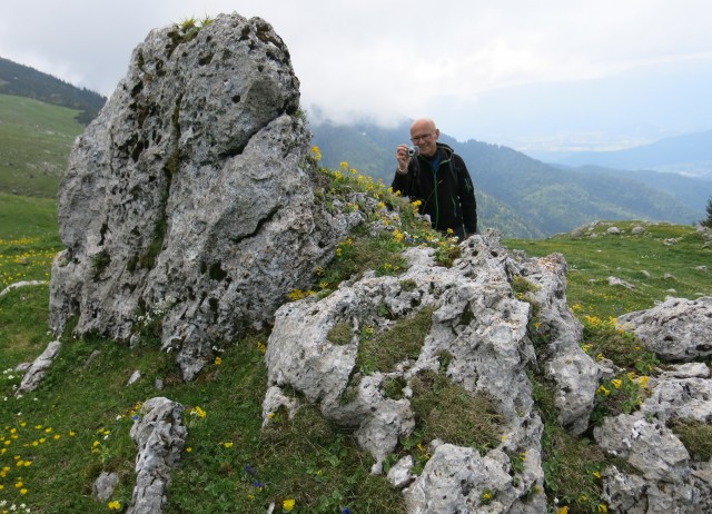 Struška + narcise  19.05.2018 - foto