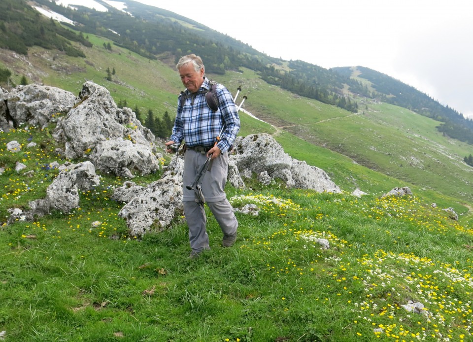 Struška + narcise  19.05.2018 - foto povečava