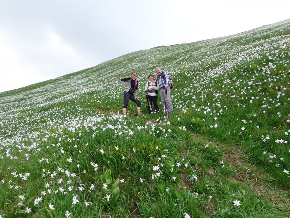 Struška + narcise  19.05.2018 - foto povečava