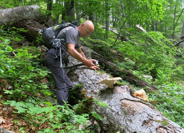 Od Zelenice proti Srednji peči  27.5.2018 - foto